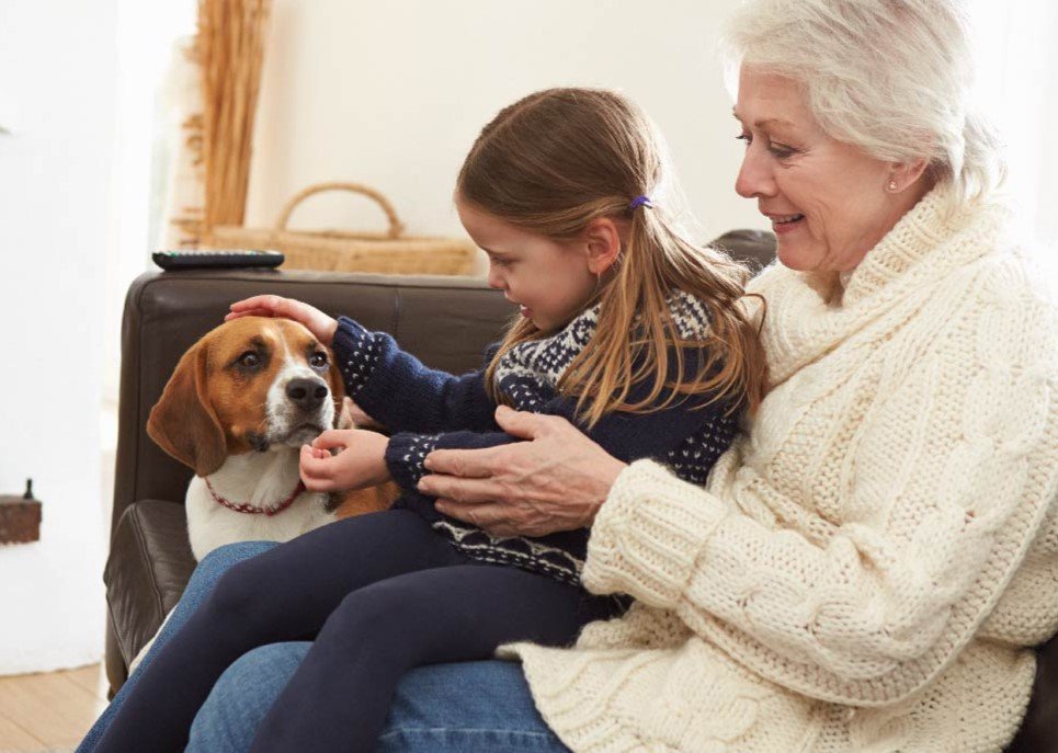 Grandmother and granddaughter petting a beagle